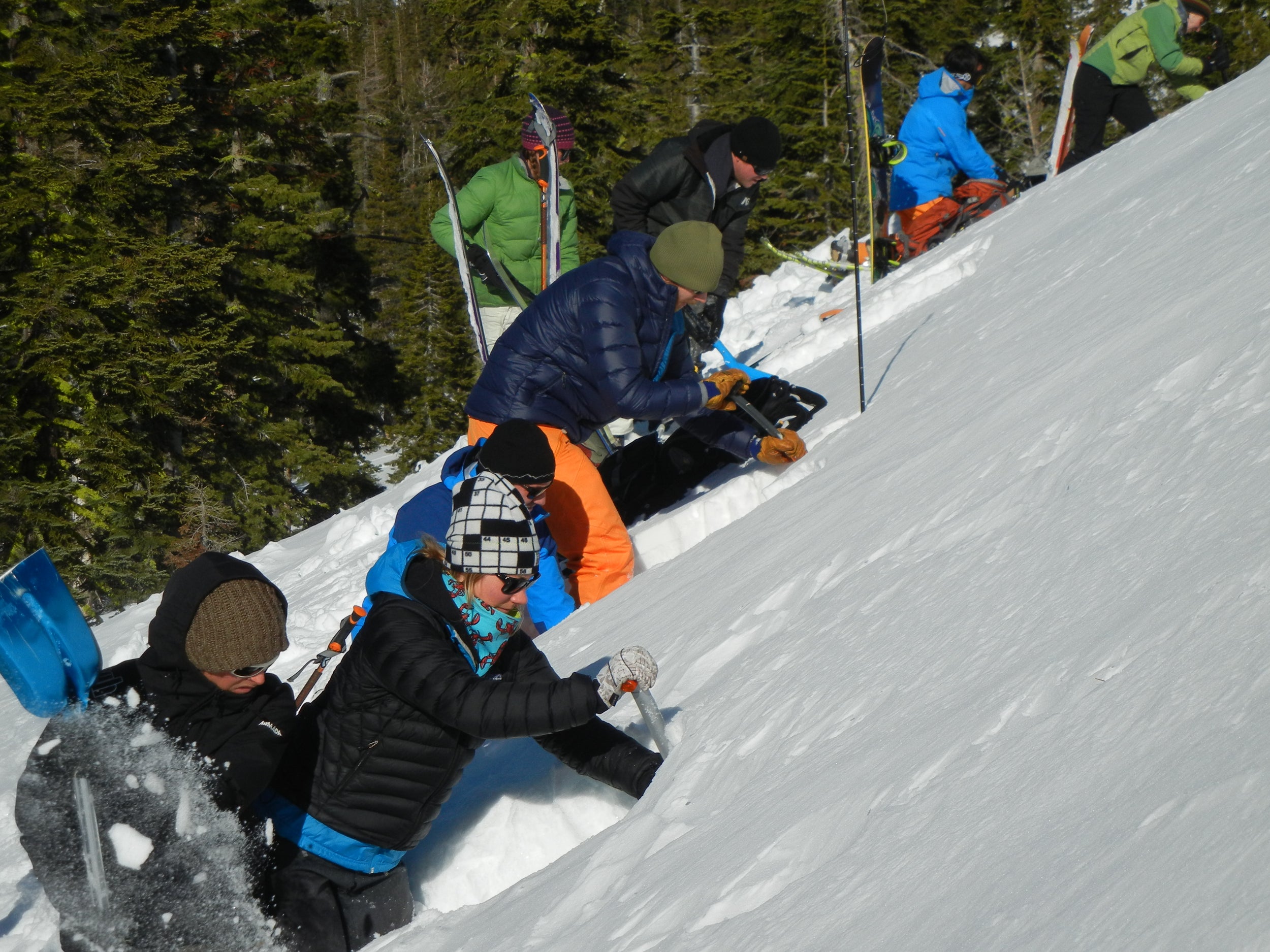 AIARE 1 + Rescue Avalanche Course Washington