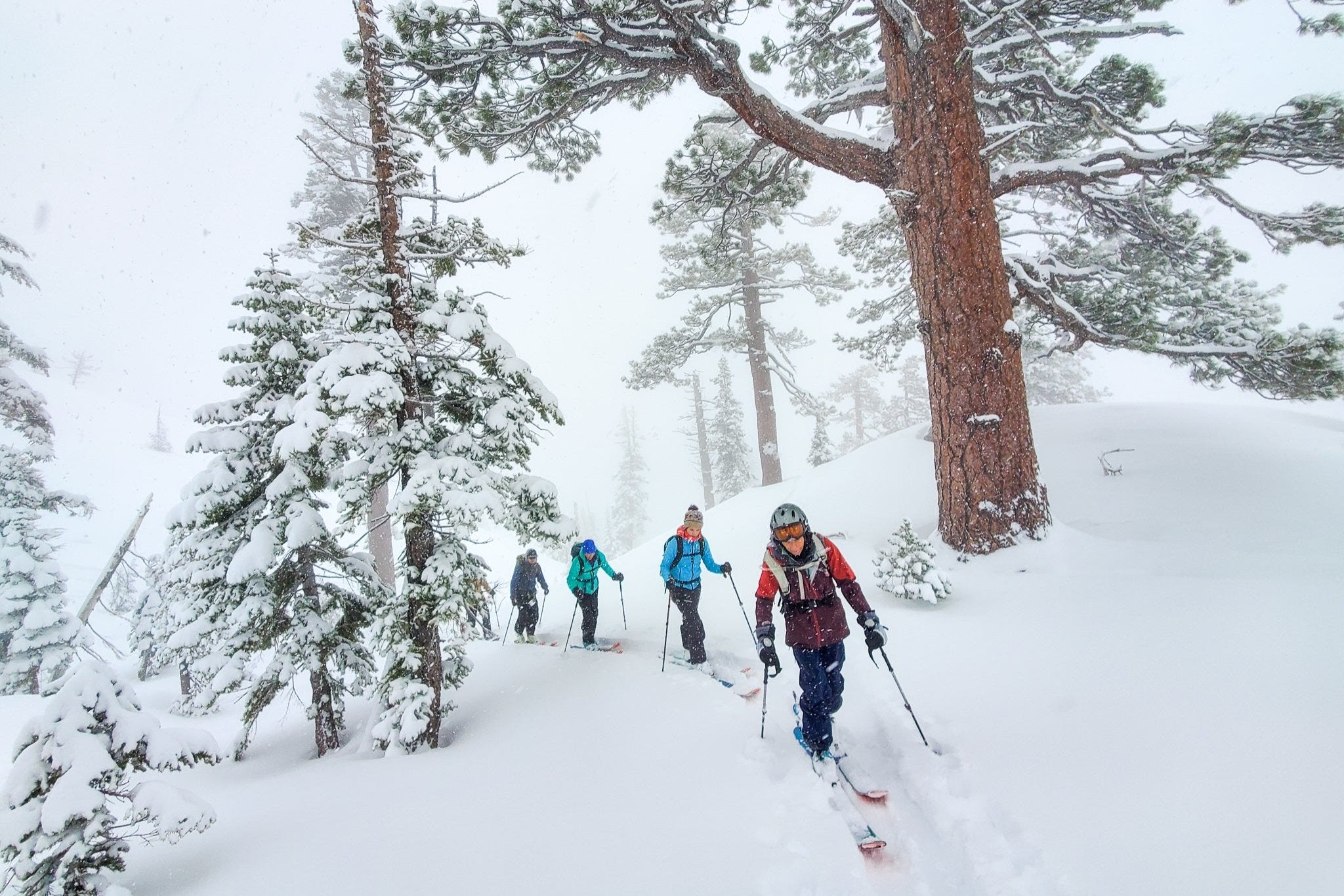 Skiers touring through the trees during a snowstorm