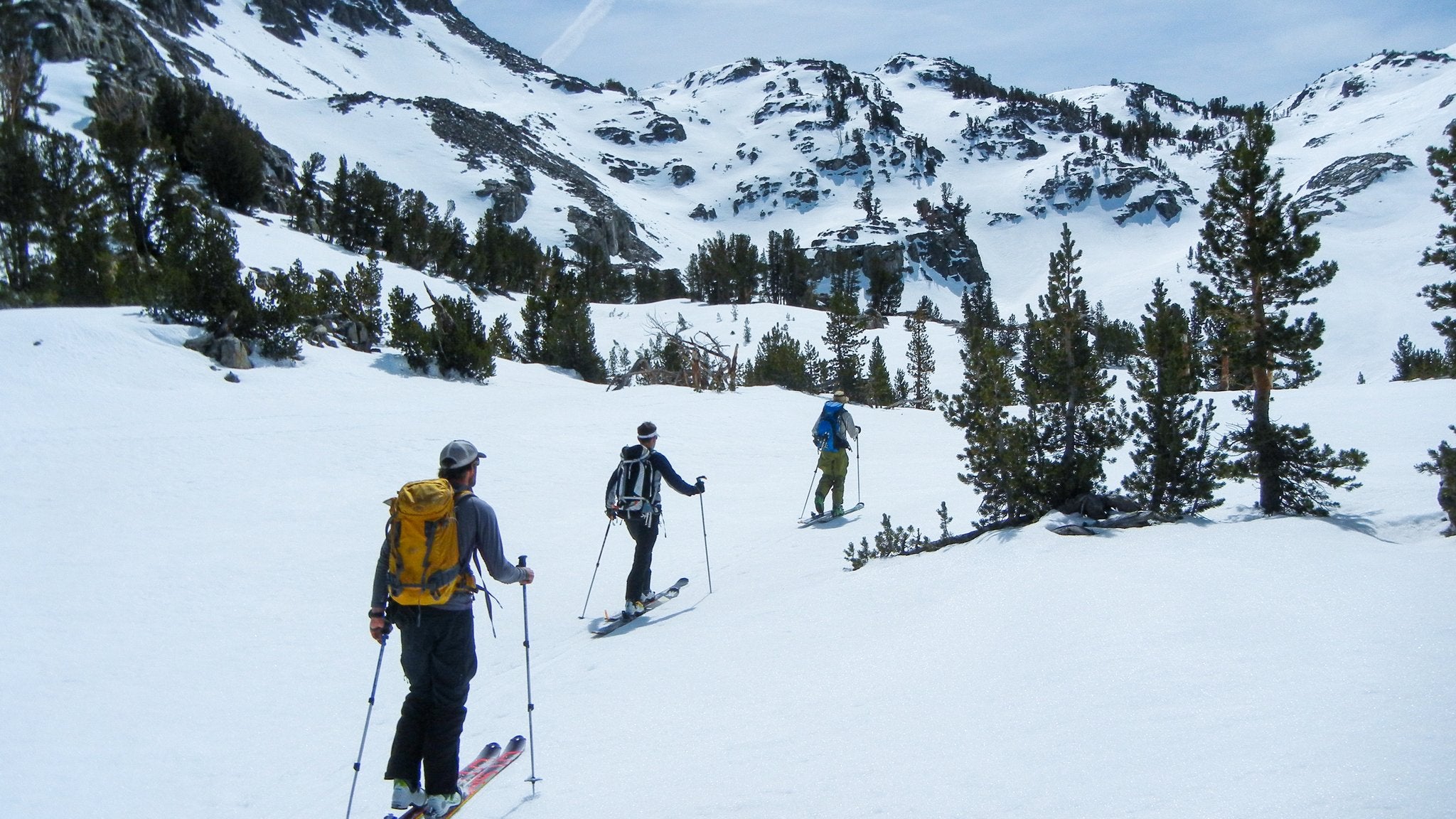 Skiers skinning through the backcountry in the Eastern Sierra