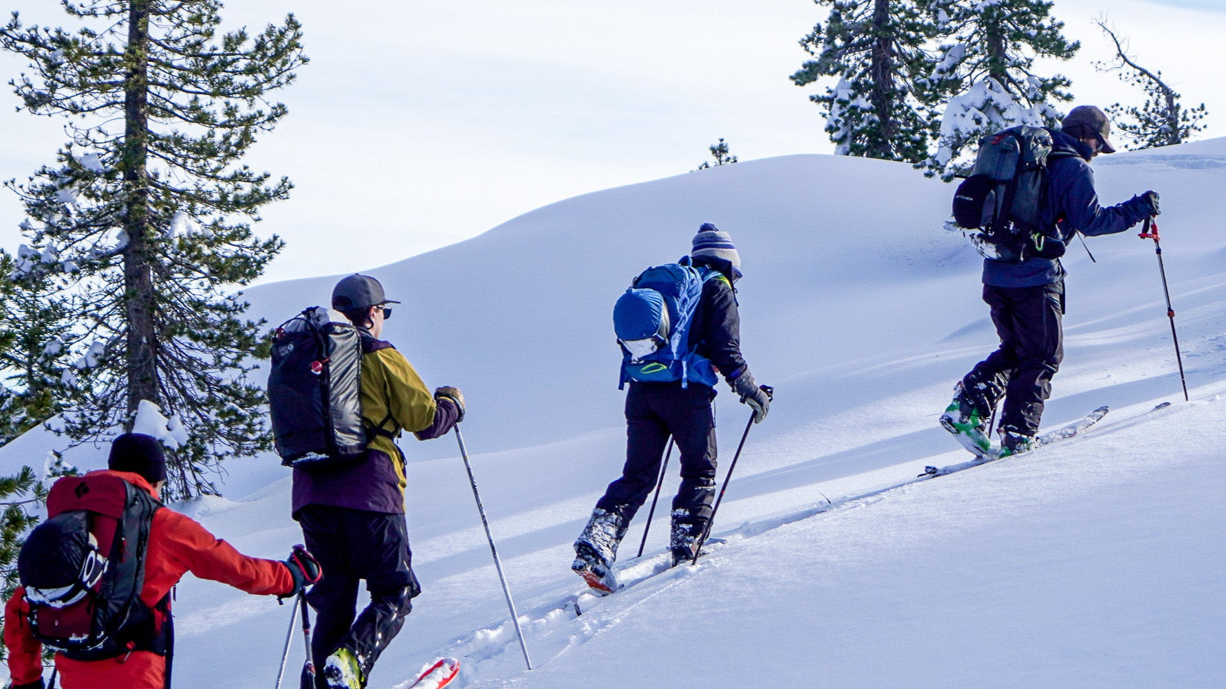 Skiers skinning up during their AIARE 1 + Rescue course as they learn to safety plan and execute a tour.