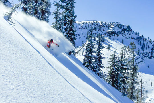 Backcountry Skiing Tahoe - Private