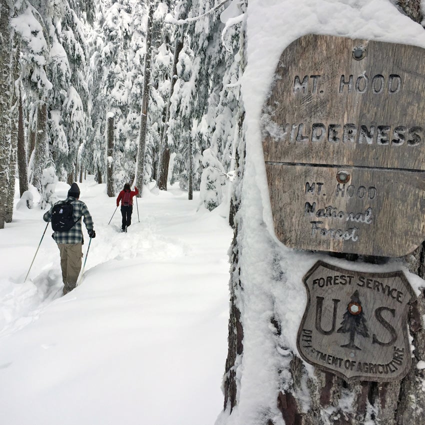 Oregon Avalanche Courses AIARE 1, Rescue and AIARE 2 on Mt. Hood