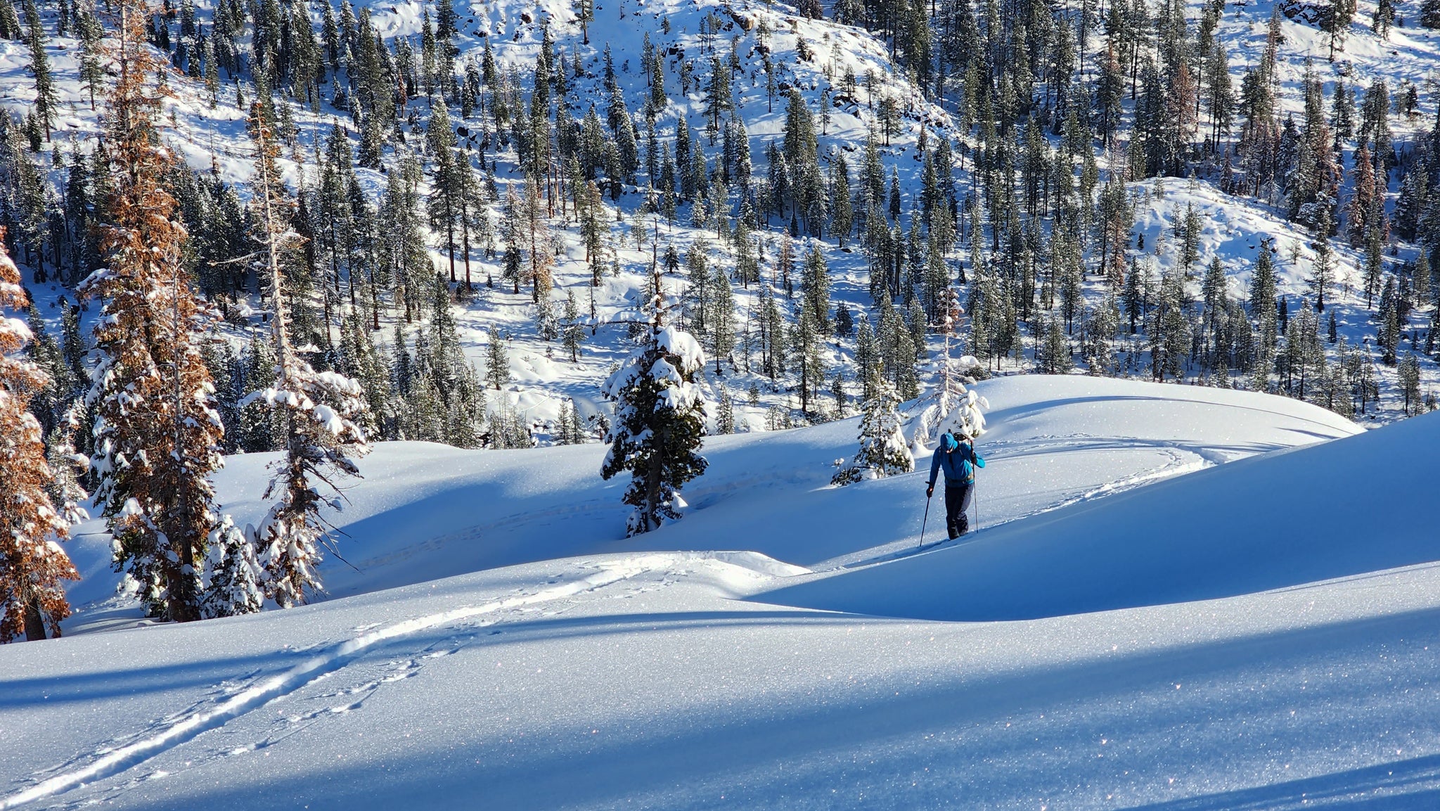 Backcountry Weather & Planning Resources