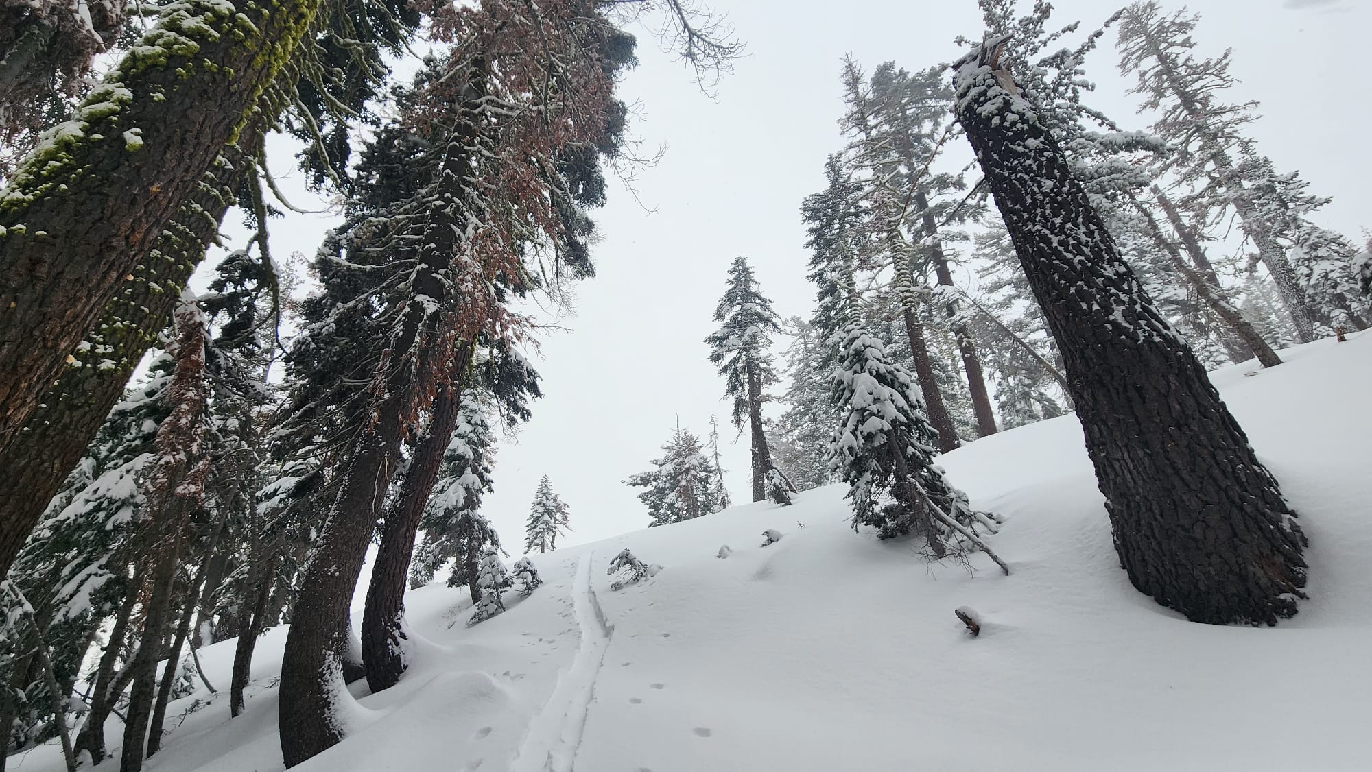 backcountry skiing conditions in Tahoe