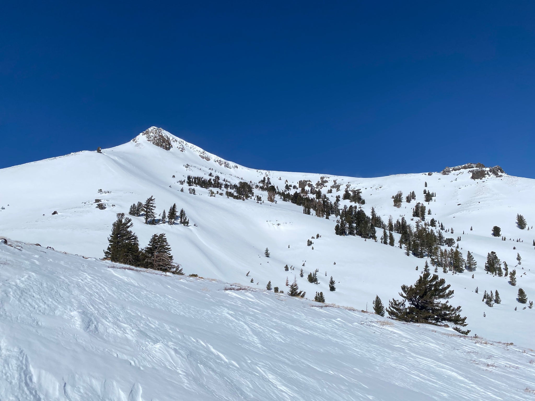South Lake Tahoe Backcountry Conditions on Stevens Peak in Carson Pass