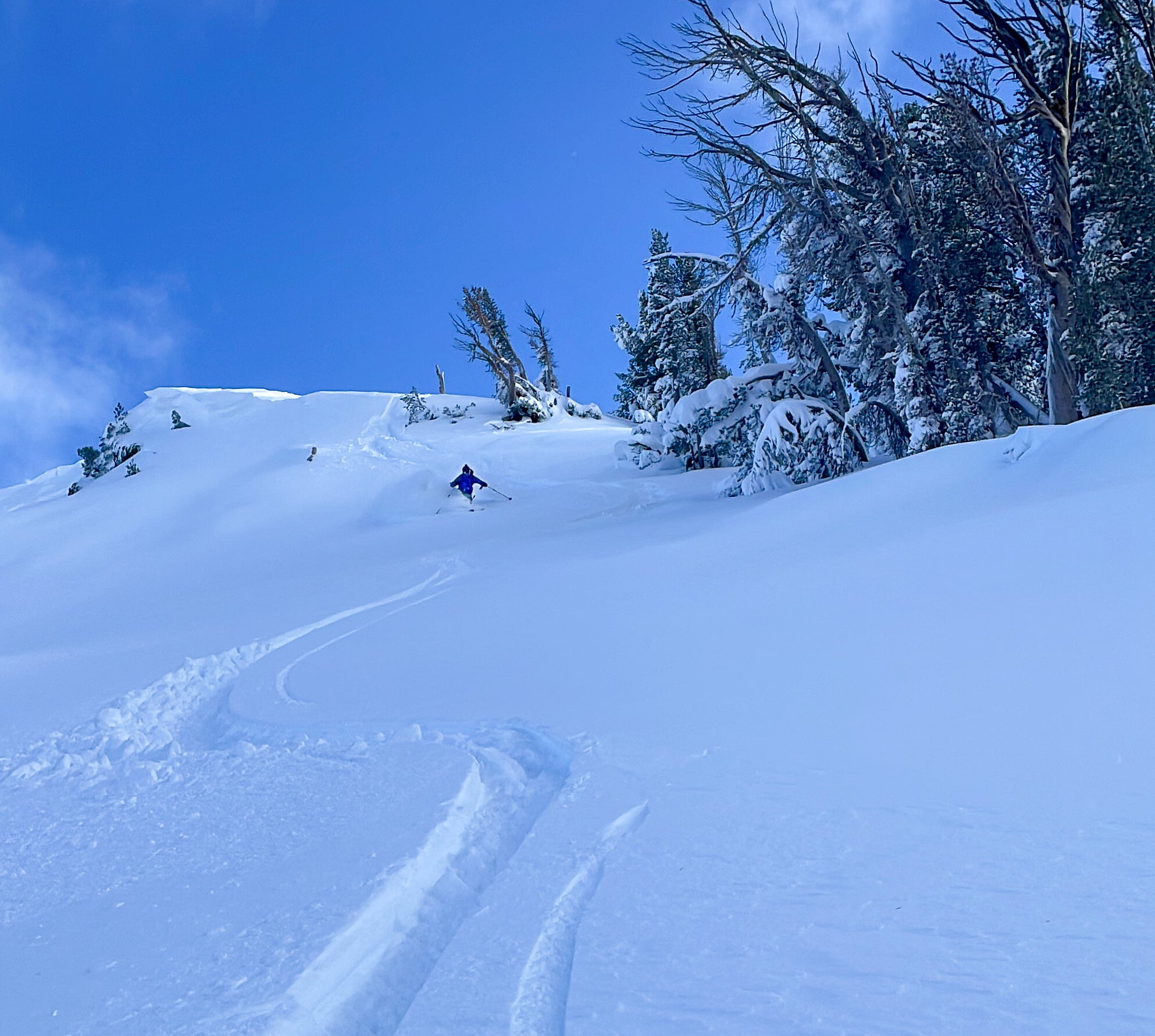 Powder Skiing Tracks
