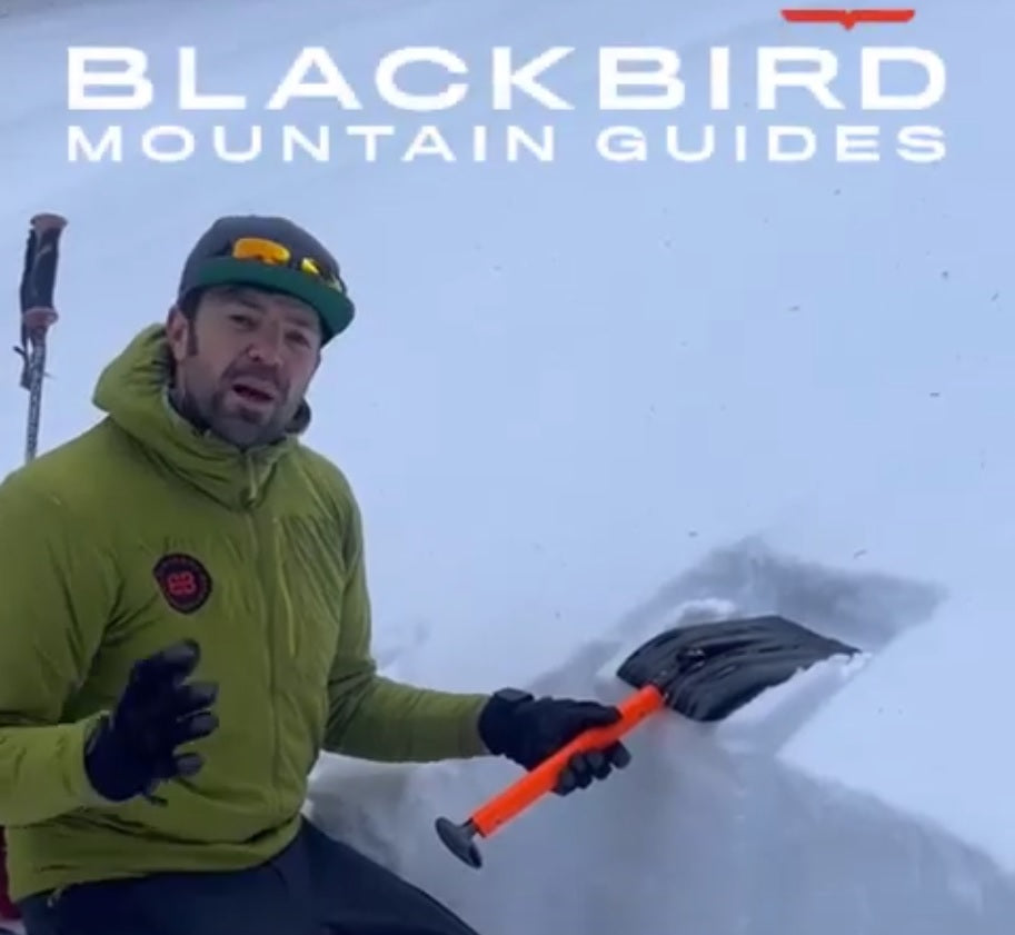 Tracking PWLs: Tahoe Snowpack Tests 2023-12-24 | Blackbird MTN Guides ...