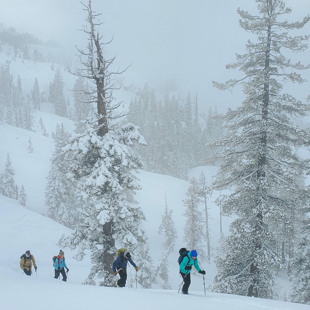 AIARE 1 Avalanche Courses Blackbird Mountain Guides Blackbird AIARE 1 Avalanche Courses Blackbird Mountain Guides Blackbird