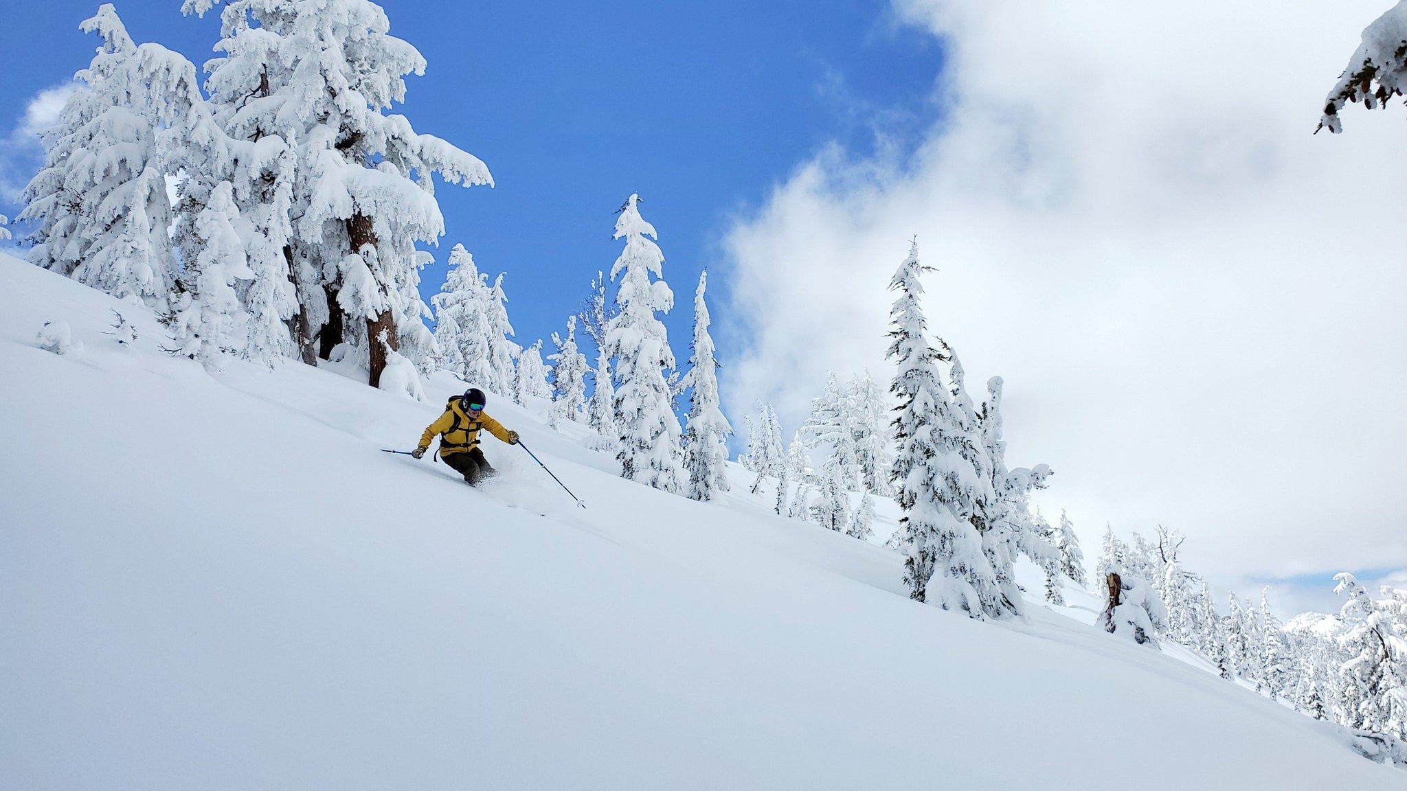 A skier ripping fresh powder in the Tahoe Backcountry
