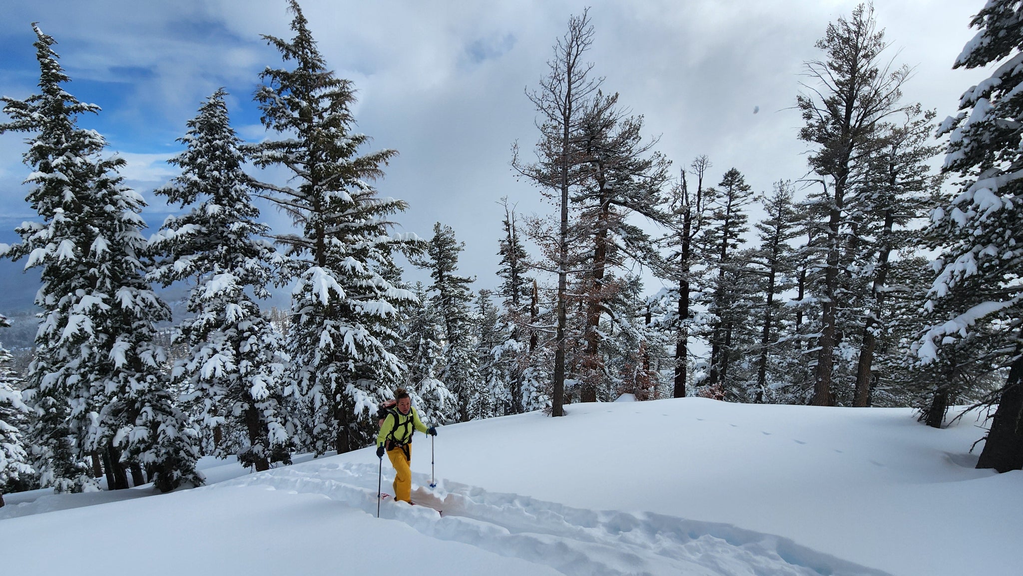 Avy Starter Pass - Tahoe