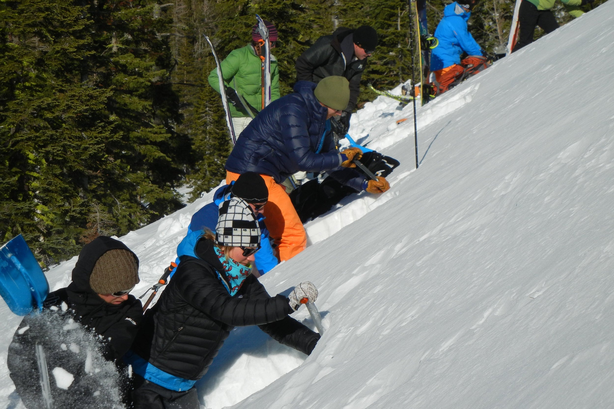 Participants in an AIARE 1 Avalanche course digging snow pits to inspect the snowpack and learn about layering processes.