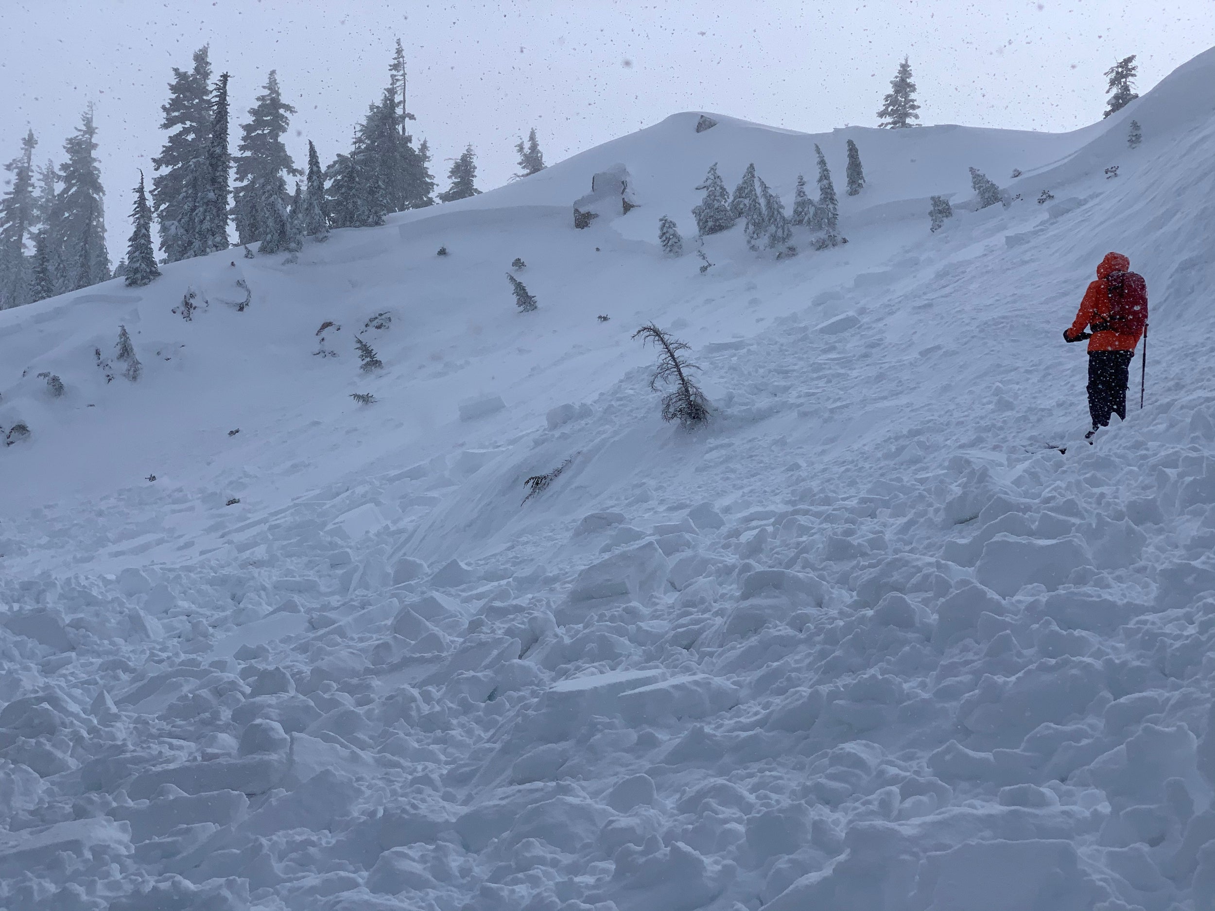 An AIARE 1 avalanche course participant at Snoqualmie Pass, WA surveys avalanche debris from a hard wind slab avalanche
