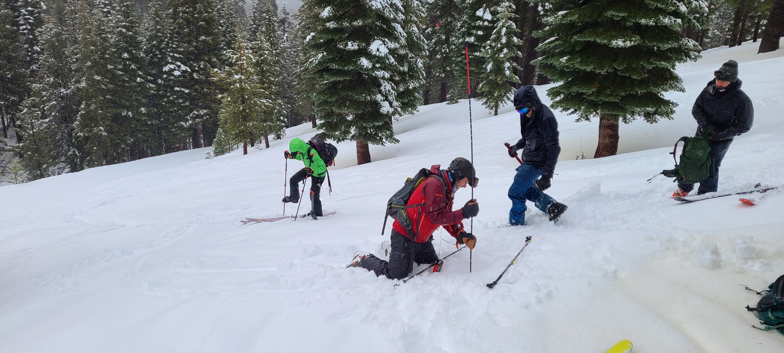 Avalanche Rescue Course in Washington