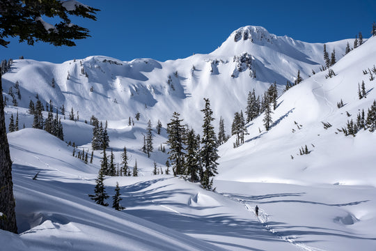 A backcountry skier in Avalanche Terrain in the Mt Baker backcountry