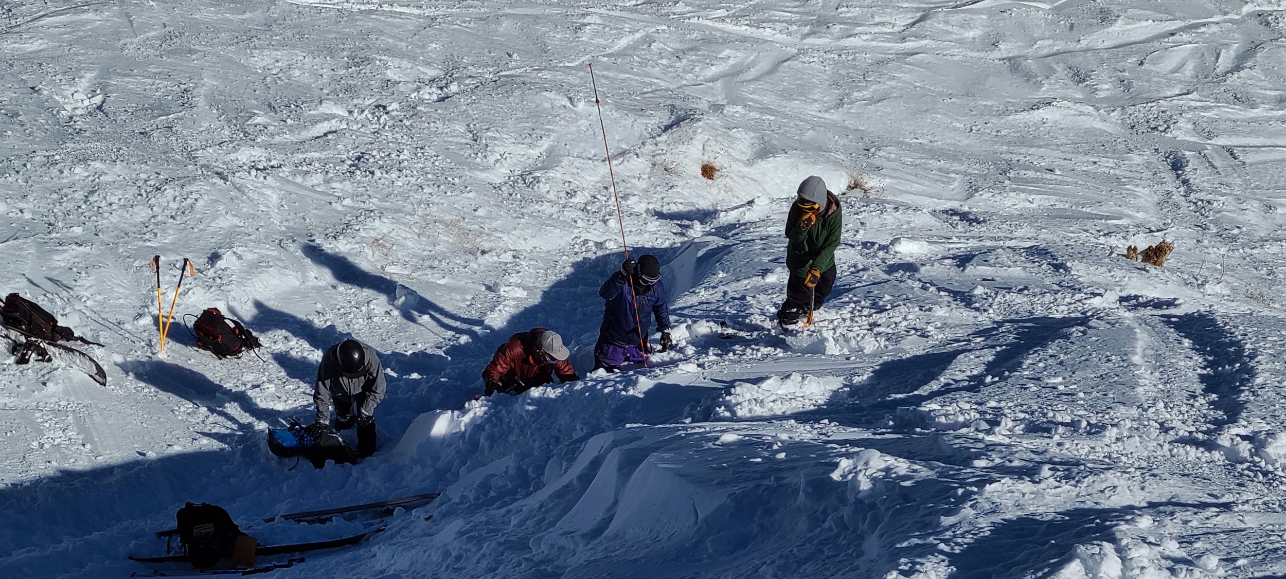 Lift Accessed Avalanche Rescue Course Participants performing a mock avalanche rescue at donner ski ranch